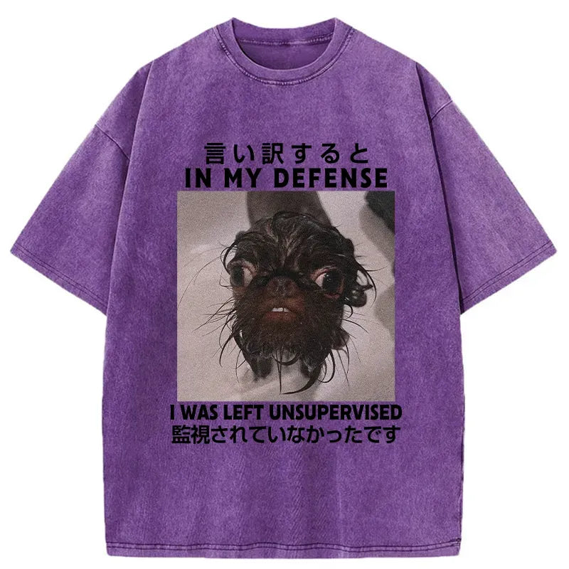 Kyoto-Lion I Was Left Unsupervised Washed T-Shirt