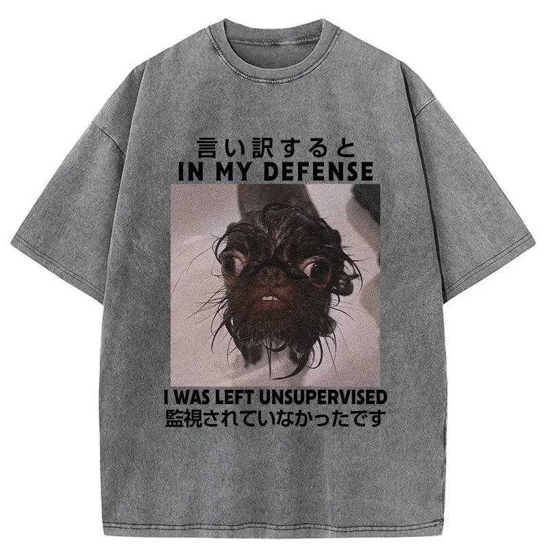 Kyoto-Lion I Was Left Unsupervised Washed T-Shirt