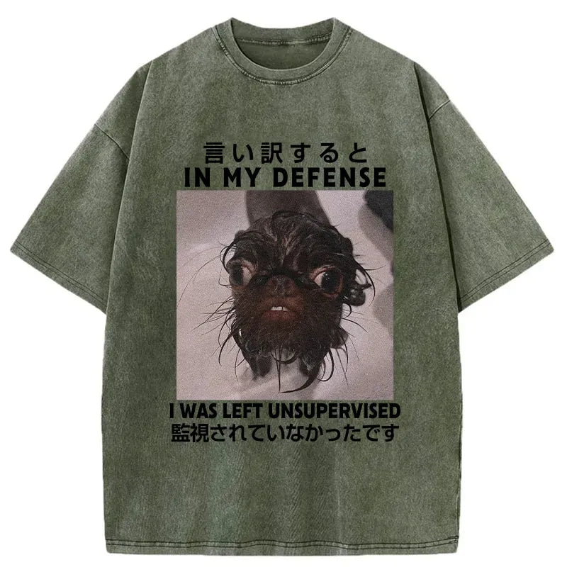 Kyoto-Lion I Was Left Unsupervised Washed T-Shirt