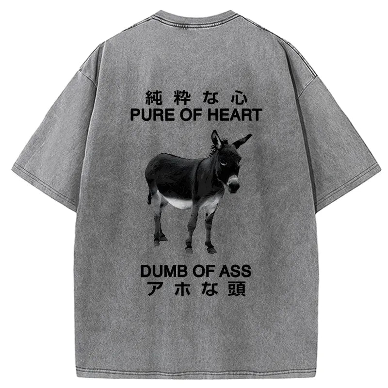 kyoto lion washed t-shirt for streetwear
