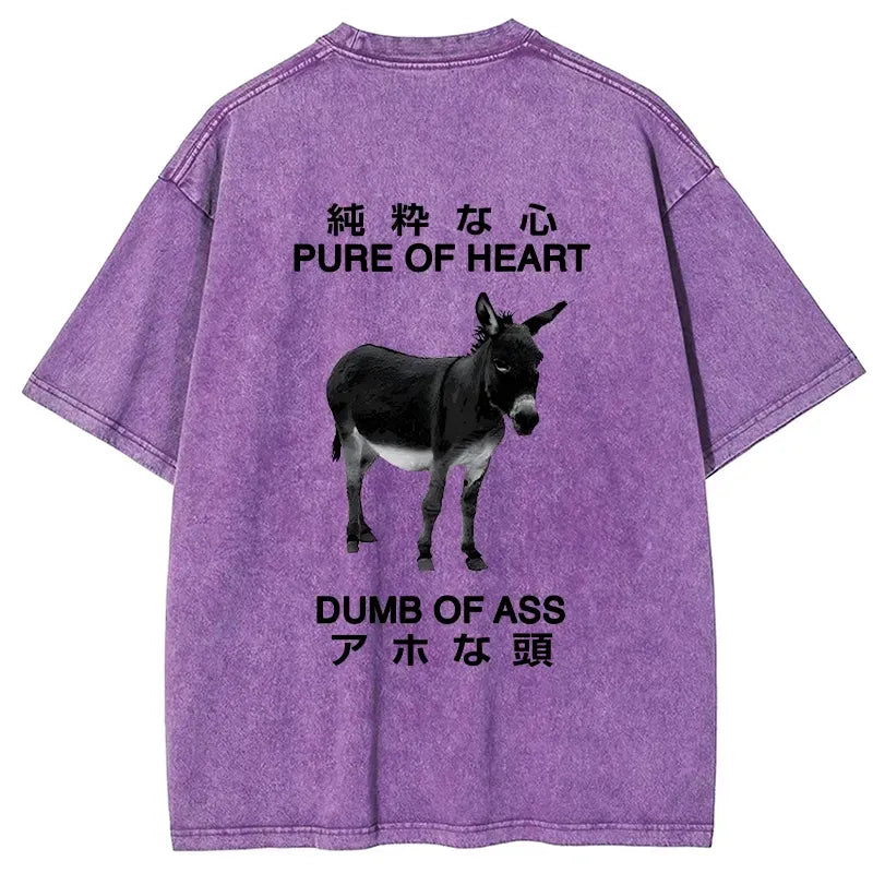 kyoto lion washed t-shirt for streetwear