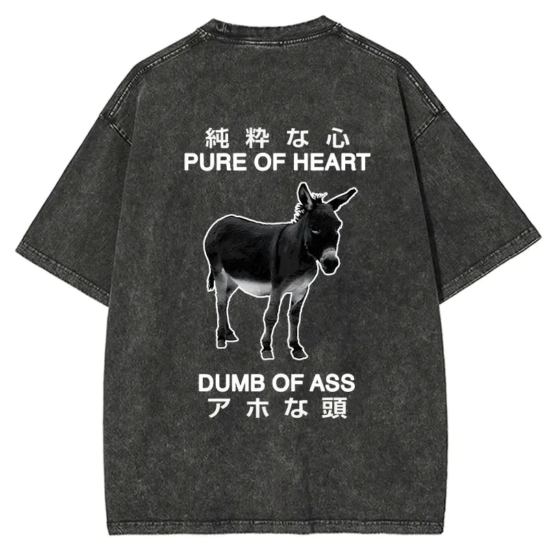 kyoto lion washed t-shirt for streetwear
