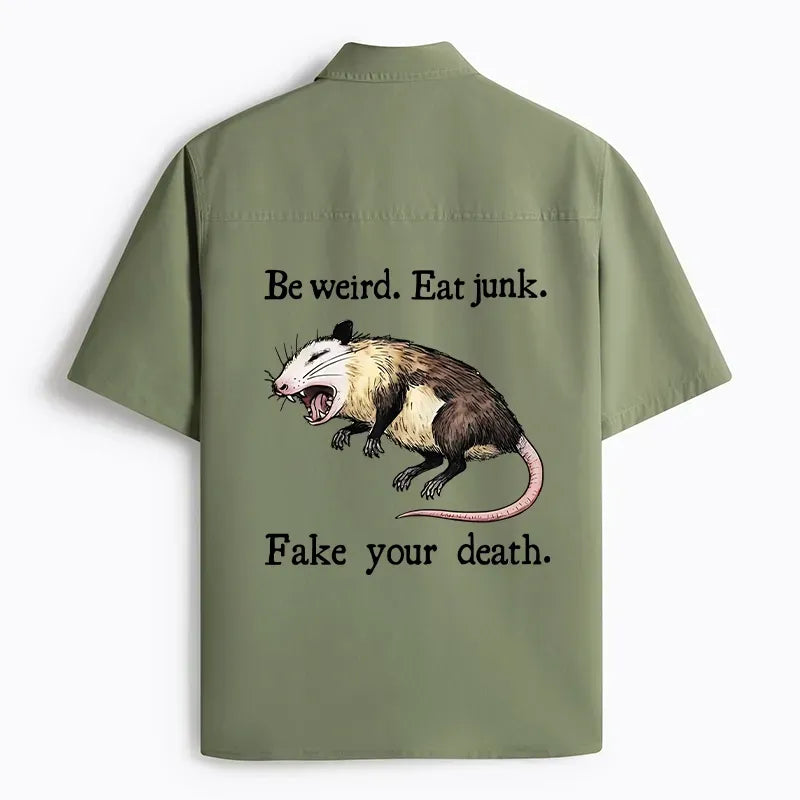 Funny Japanese Kyoto Lion Possum Shirt