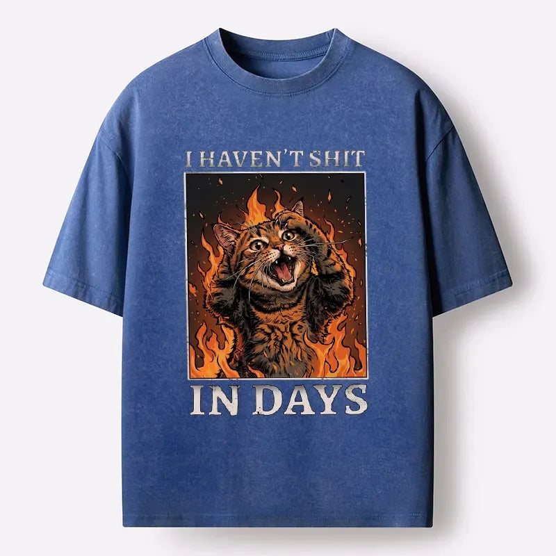Kyoto-Lion Funny Cat Constipation Meme Art Washed T-Shirt