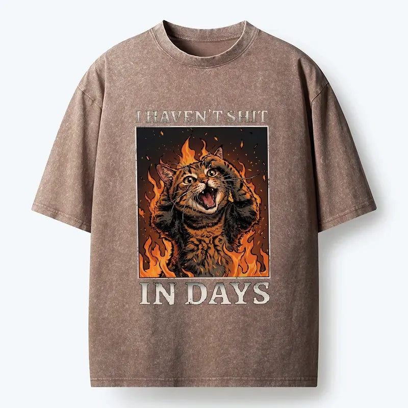 Kyoto-Lion Funny Cat Constipation Meme Art Washed T-Shirt