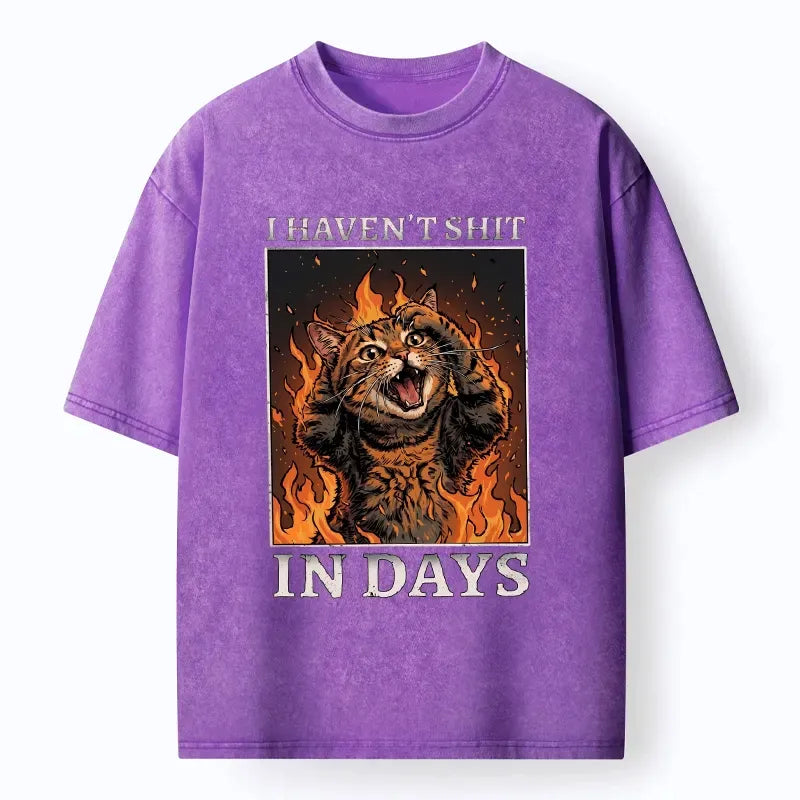 Kyoto-Lion Funny Cat Constipation Meme Art Washed T-Shirt