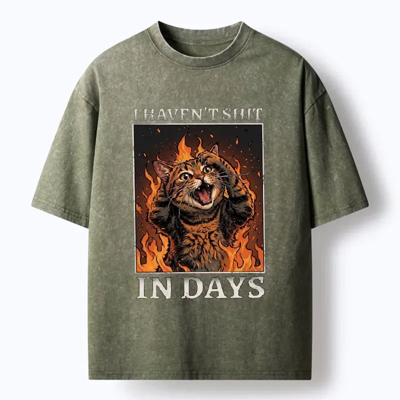 Kyoto-Lion Funny Cat Constipation Meme Art Washed T-Shirt