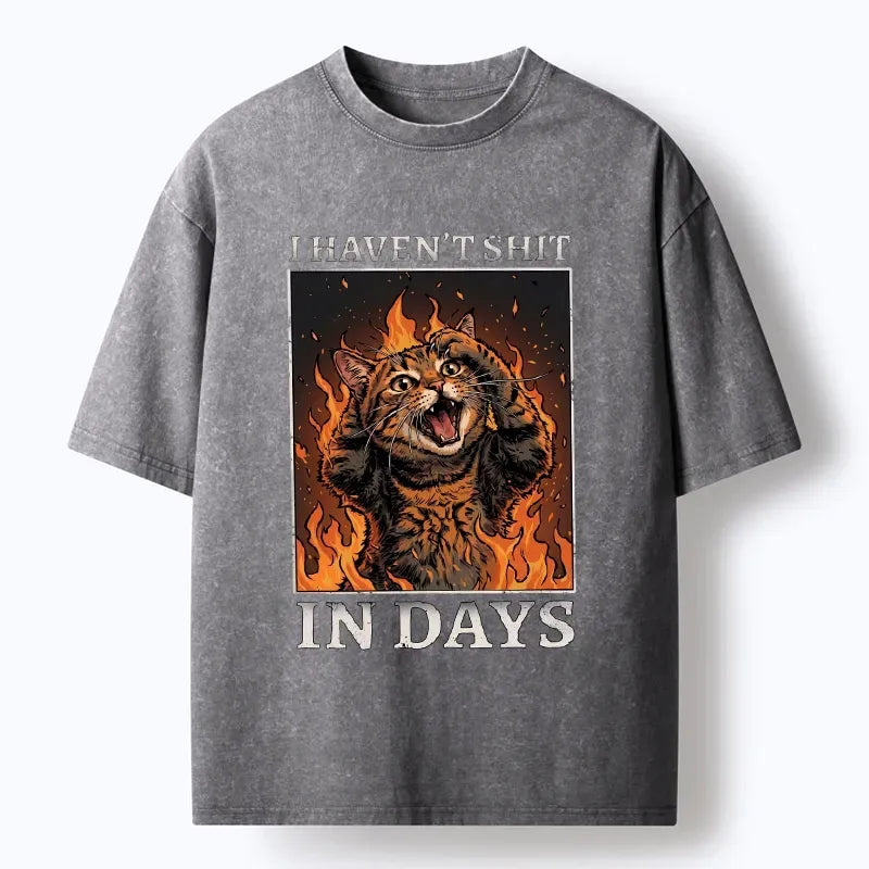 Kyoto-Lion Funny Cat Constipation Meme Art Washed T-Shirt