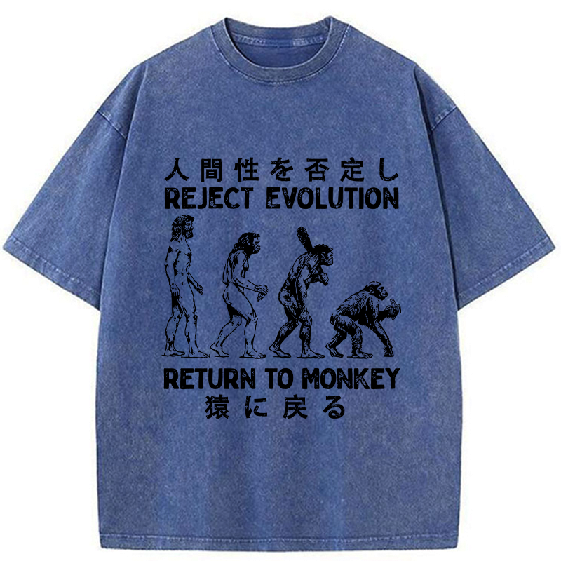 Kyoto-Lion Return To Monkey Washed T-Shirt