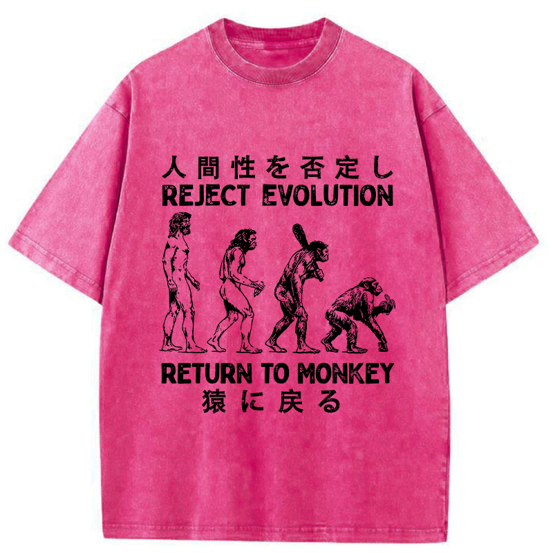 Kyoto-Lion Return To Monkey Washed T-Shirt