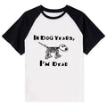Kyoto-Lion Funny Meme Old Dog Dead In Dog Years Vibe Raglan T-shirt
