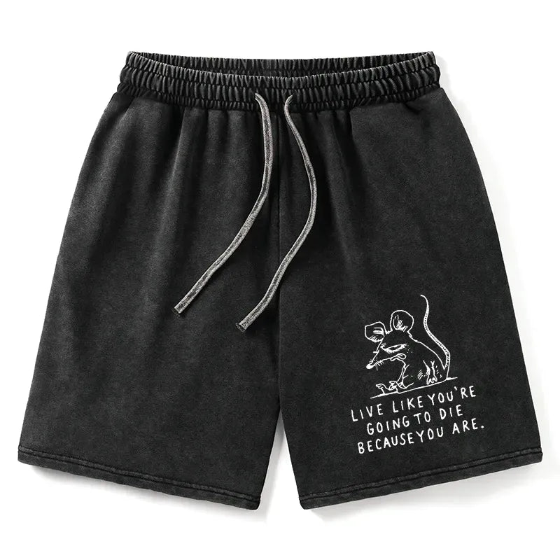 Funny Meme Rat Washed Shorts for Gift