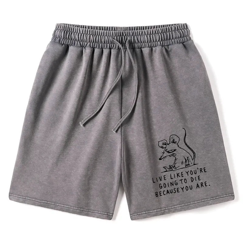 Funny Meme Rat Washed Shorts for Gift