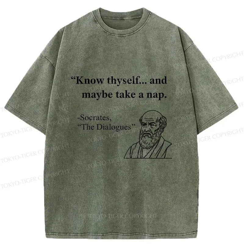 Kyoto Lion washed cotton tee with free shipping