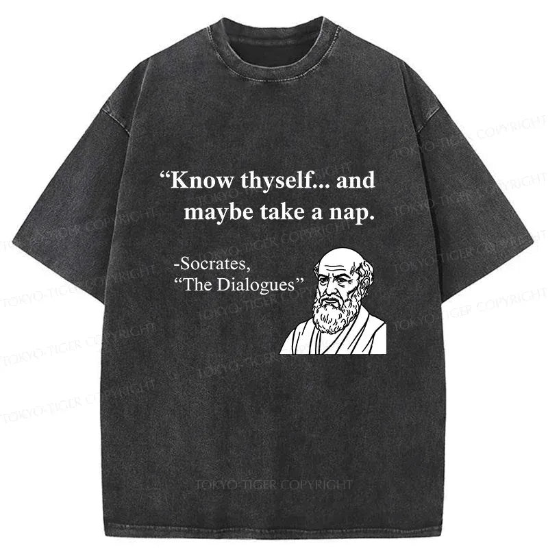 Kyoto-Lion Socrates' Philosophy Funny Washed T-Shirt