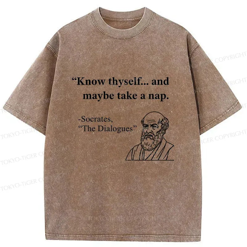Kyoto Lion washed cotton tee with free shipping