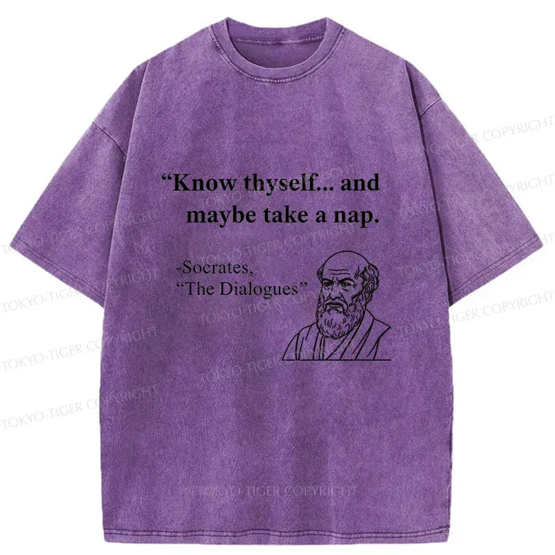 Kyoto Lion washed cotton tee with free shipping