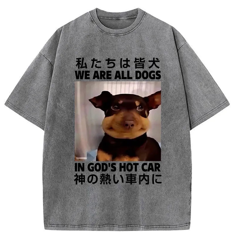 Kyoto Lion washed t-shirt for daily wear