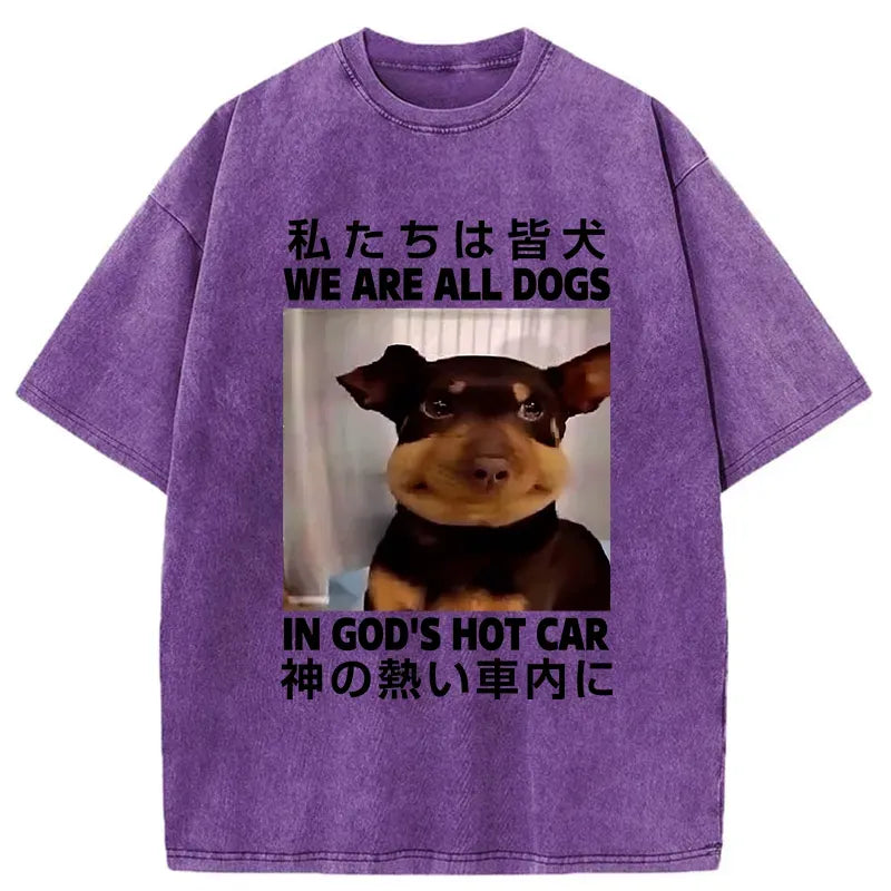 Kyoto Lion washed t-shirt for daily wear