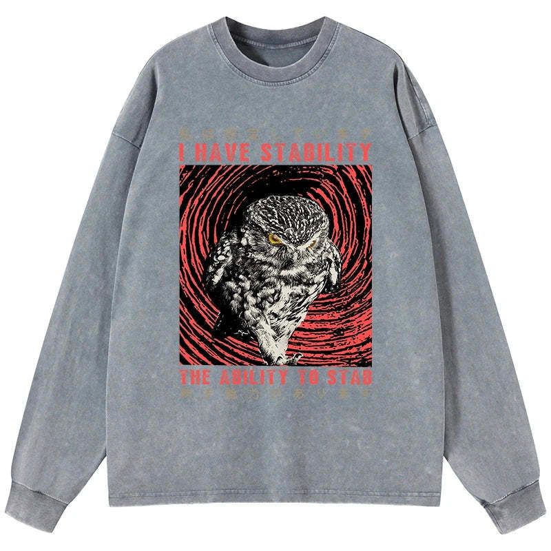 Kyoto-Lion I Have Stability Owl Washed Long Sleeve T-Shirt