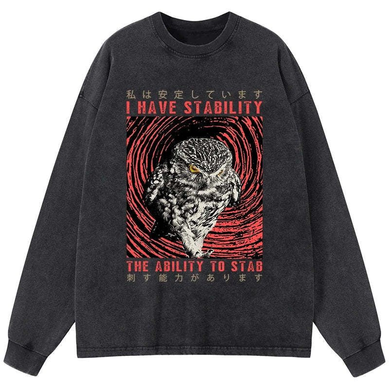 Kyoto-Lion I Have Stability Owl Washed Long Sleeve T-Shirt
