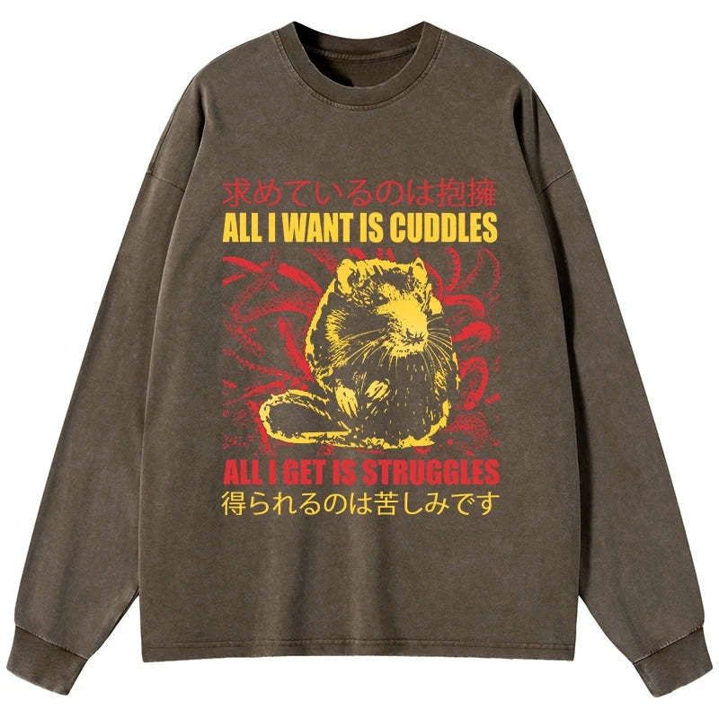 Kyoto-Lion All I Want Is Cuddles Washed Long Sleeve T-Shirt