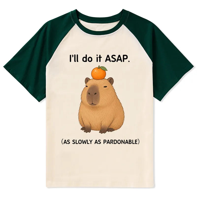 Kyoto-Lion Slow Task Capybara Meme Raglan T-shirt