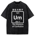 kyoto lion vintage streetwear t-shirt