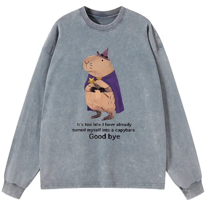 Kyoto-Lion Funny Wizard Capybara Washed Long Sleeve T-Shirt