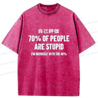 Kyoto-Lion Interesting Self-evaluation Washed T-Shirt