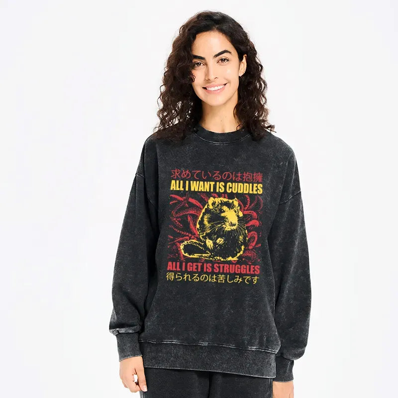 Kyoto-Lion All I Want Is Cuddles Washed Sweatshirt