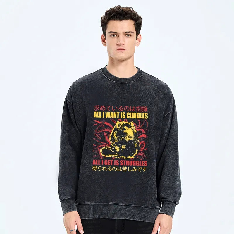 Kyoto-Lion All I Want Is Cuddles Washed Sweatshirt