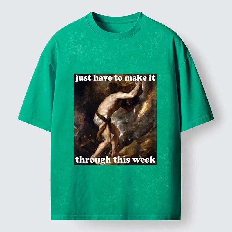 kyoto lion unisex t-shirt for daily wear