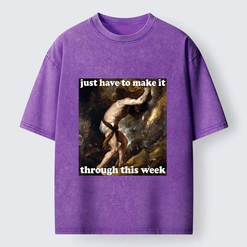 kyoto lion unisex t-shirt for daily wear