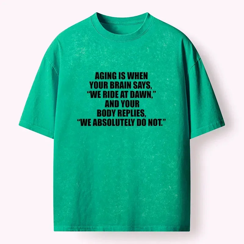 Kyoto Lion Washed Unisex T-Shirt for Daily Wear