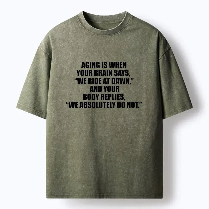 Kyoto Lion Washed Unisex T-Shirt for Daily Wear