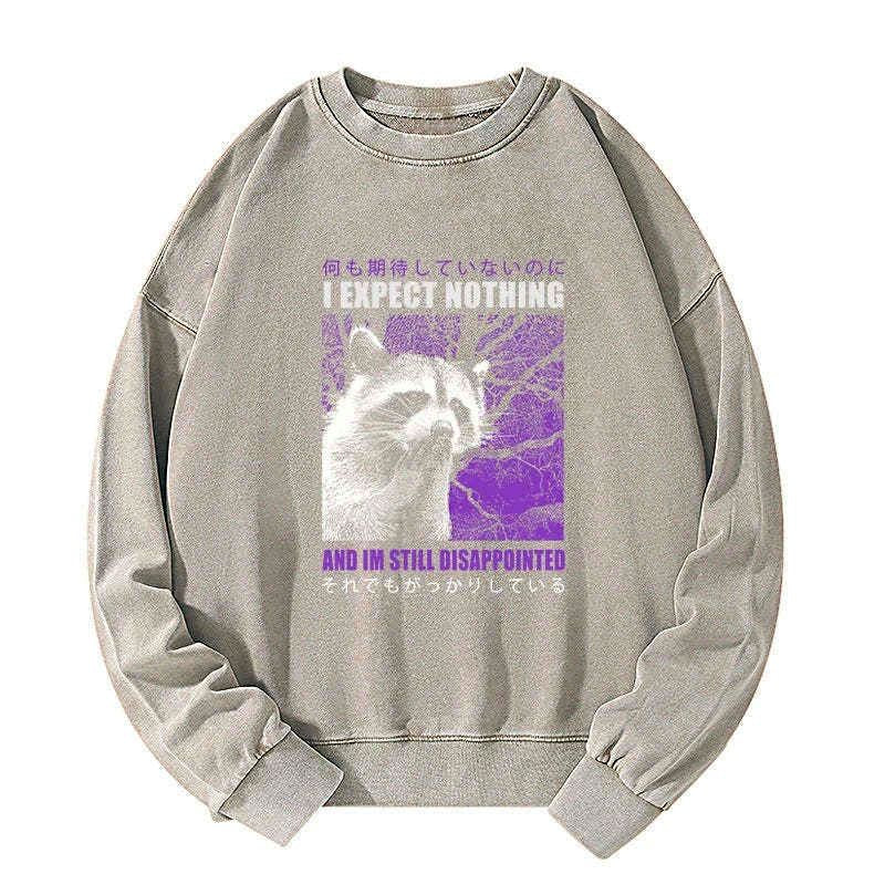 Kyoto-Lion Disappointed Raccoon Japanese Washed Sweatshirt