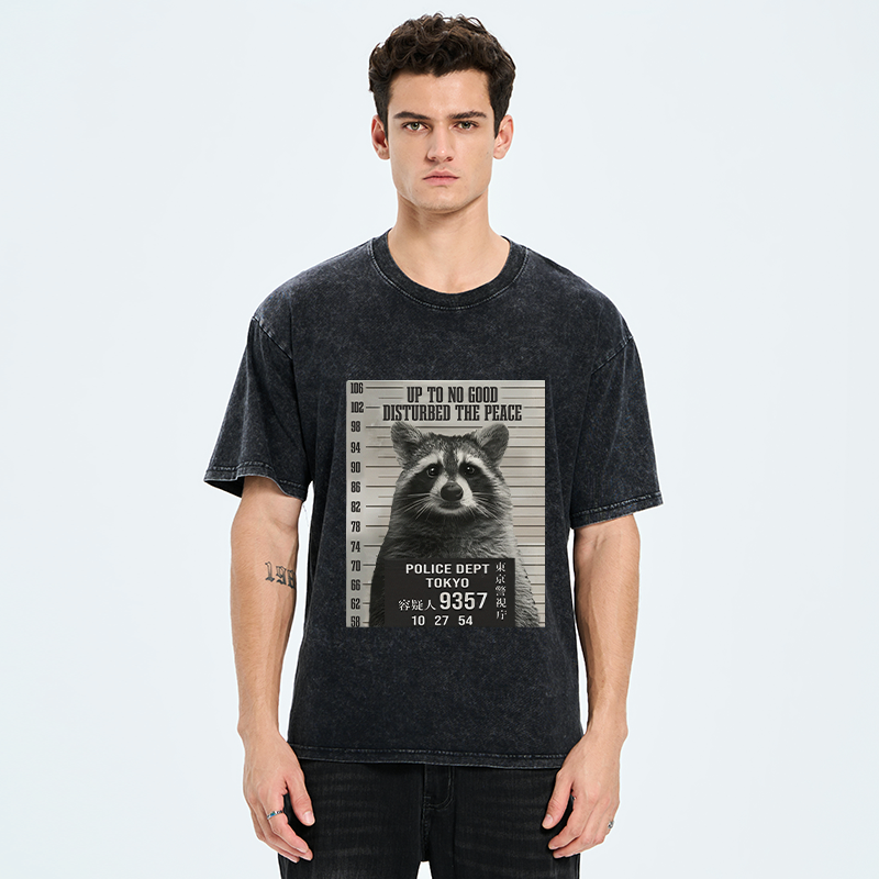Kyoto Lion Raccoon T-Shirt for Summer