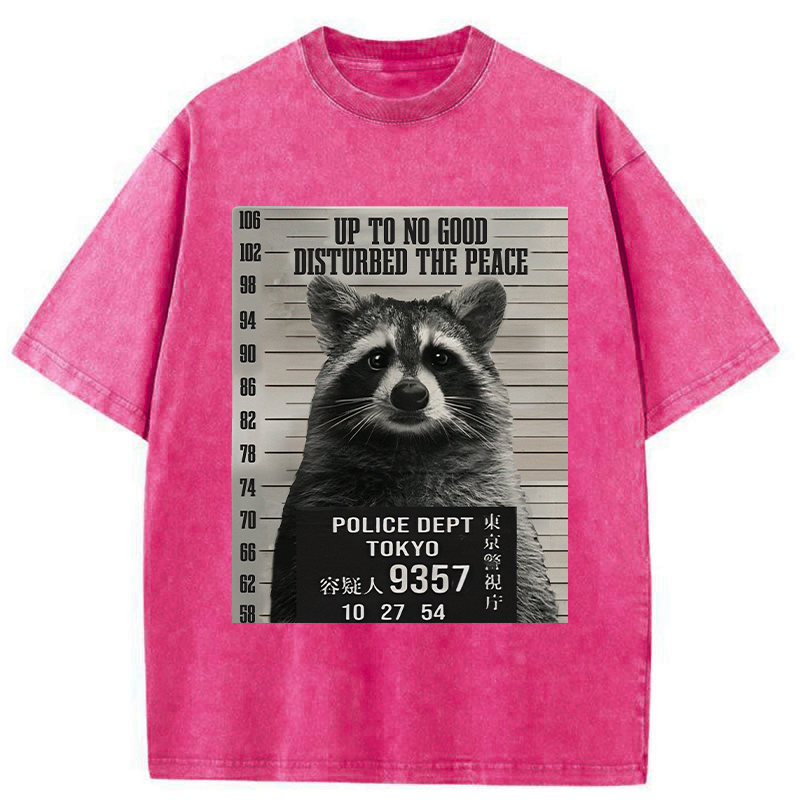Kyoto Lion Raccoon T-Shirt for Summer