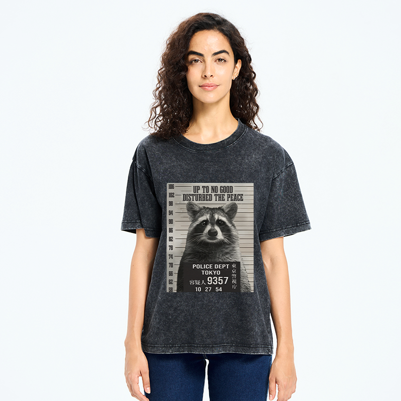 Vintage Japanese Raccoon T-Shirt On Sale
