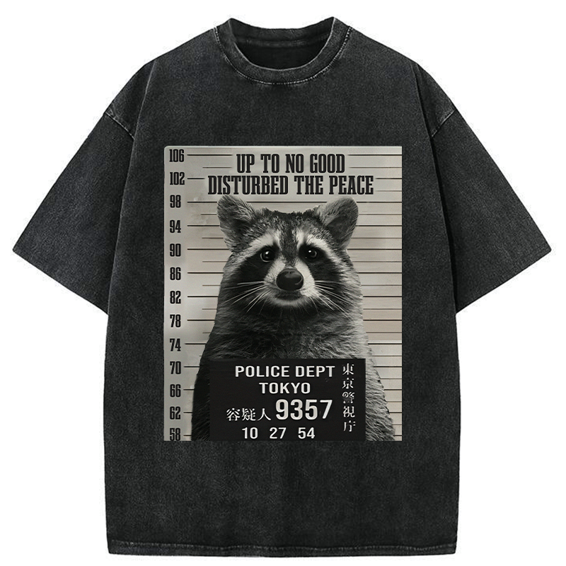 Kyoto Lion Raccoon T-Shirt for Summer