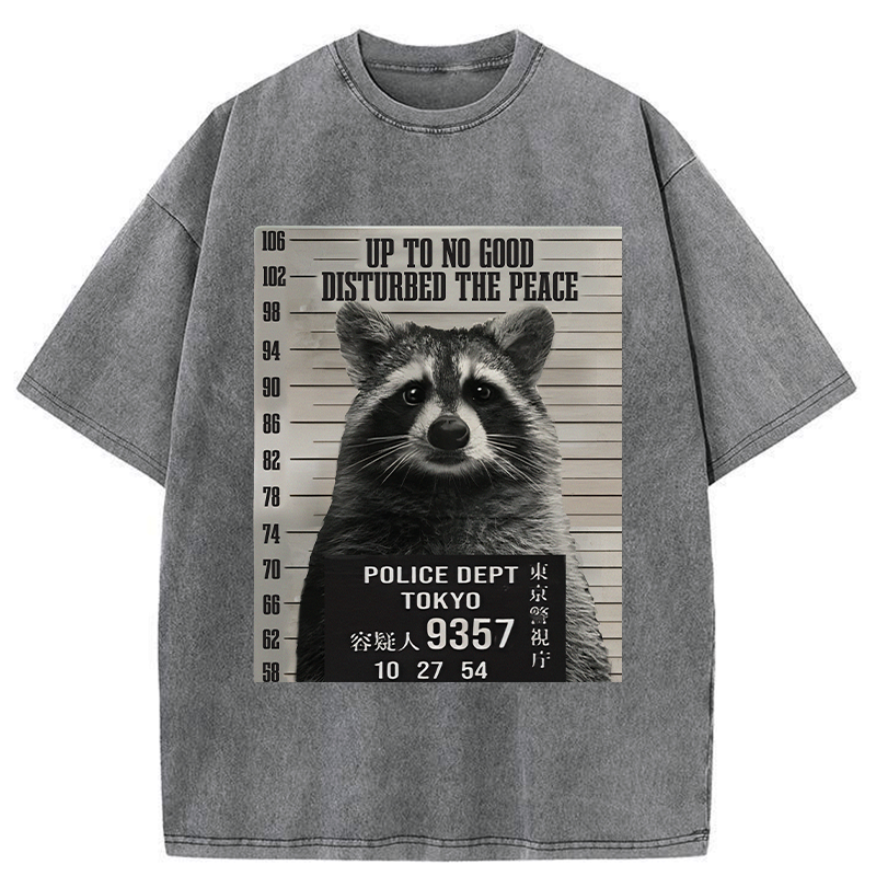 Japanese Washed Raccoon T-Shirt for Vacation