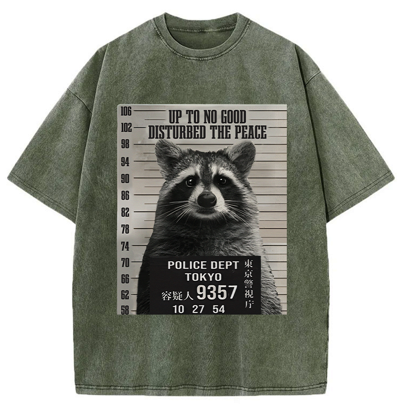 Kyoto Lion Raccoon T-Shirt for Summer