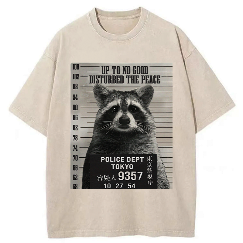 Japanese Washed Raccoon T-Shirt for Vacation