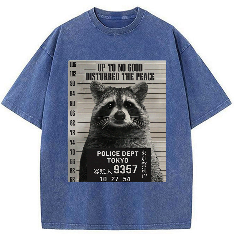 Kyoto Lion Raccoon T-Shirt for Summer