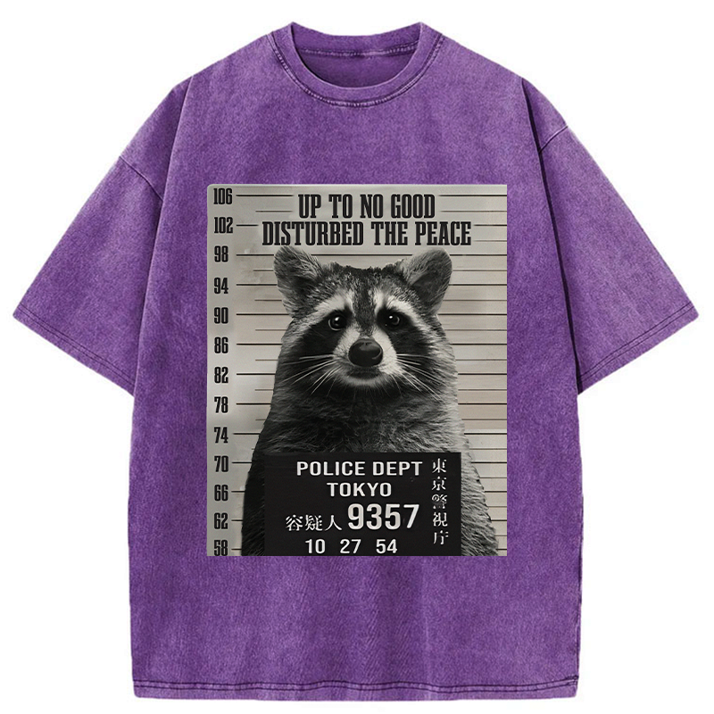 Japanese Washed Raccoon T-Shirt for Vacation