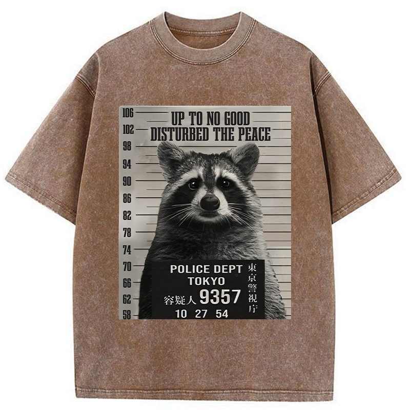 Japanese Washed Raccoon T-Shirt for Vacation