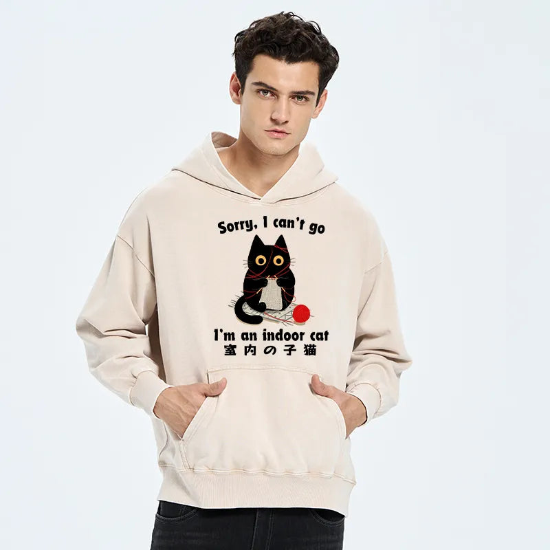Kyoto-Lion Indoor Cat Meme Washed Hoodie