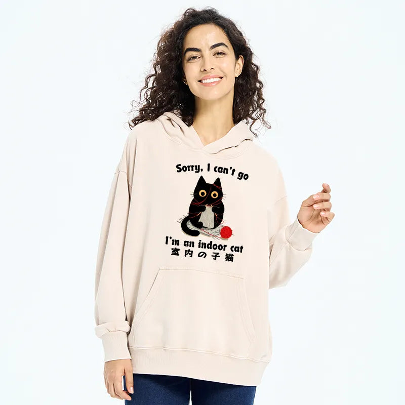 Kyoto-Lion Indoor Cat Meme Washed Hoodie