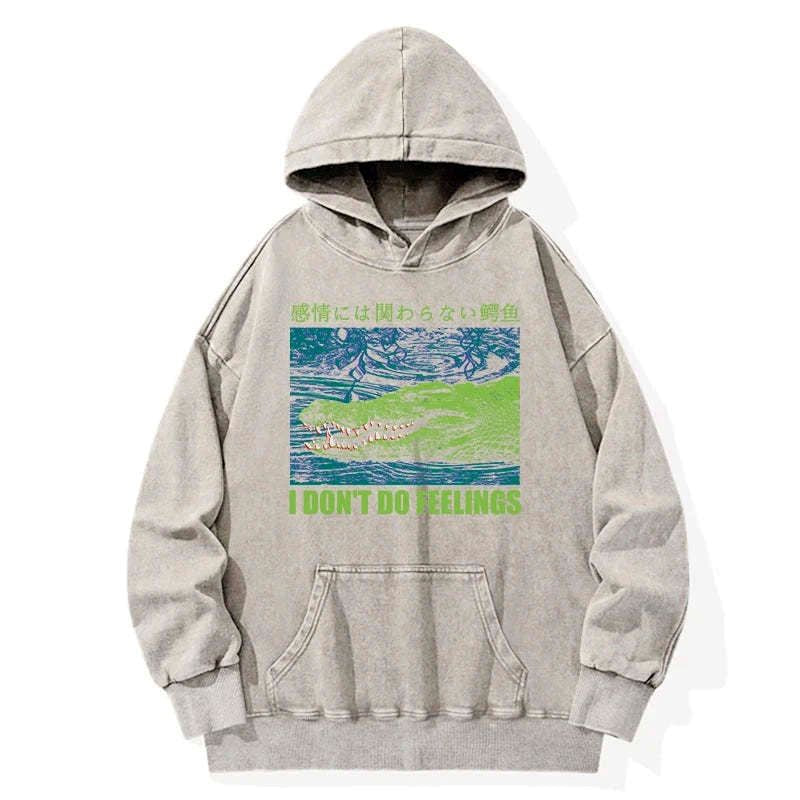 comfortable pre-shrunk hoodie for everyday wear